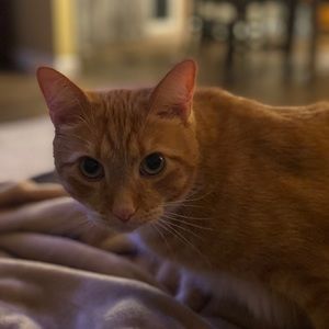 Meet your Posher, Kristie